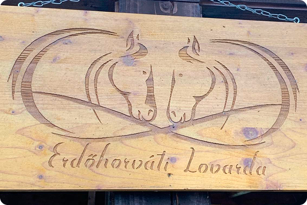Lovaglás 1